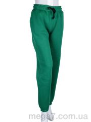 Спортивные штаны, Ledi-Sharm оптом 5003 green