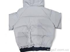 Куртка, Kids-modnik оптом 8834 світло-сірий