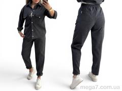 Спортивный костюм, Alisa Brand оптом 1002 сірий