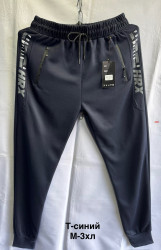 Спортивные штаны мужские оптом 89403275 2818-129