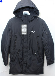 Куртки зимние мужские DABERT (темно синий) оптом 76893514 D-37-35