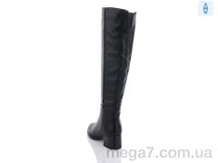 Ботфорты, Loretta оптом SN221-M