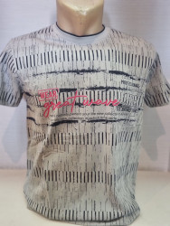 Футболки мужские оптом 76298405 555-162