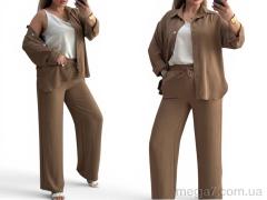 Спортивный костюм, Alisa Brand оптом 101 моко