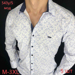 Рубашки мужские оптом 19872403 543-5-138