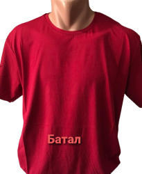 Футболки мужские БАТАЛ оптом 81506974 01004-152