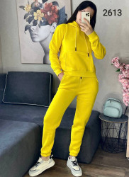 Спортивные костюмы женские на флисе оптом 69185320 2613-163