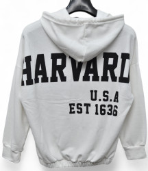 Худі чоловічі на флісі оптом