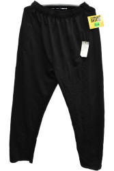 Спортивні штани чоловічі БАТАЛ оптом