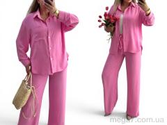 Спортивный костюм, Alisa Brand оптом 101 рожевий