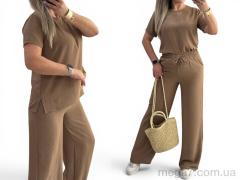 Спортивный костюм, Alisa Brand оптом 222 моко