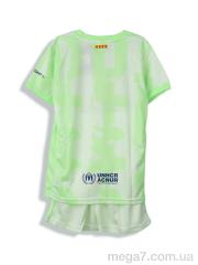 Спортивный костюм, Presto оптом 570 Barsa салатовий