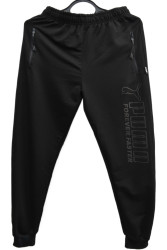 Спортивные штаны мужские БАТАЛ оптом 51473608 003-241