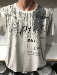 Футболки мужские БАТАЛ оптом 41857062 47-2