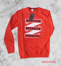Світшоти чоловічі оптом        