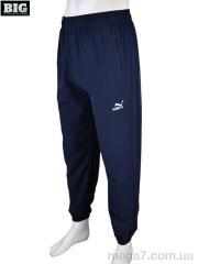 Спортивные брюки, BIG оптом 4034-A14-2 navy