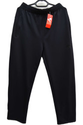 Спортивные штаны мужские оптом 19278053 701-87