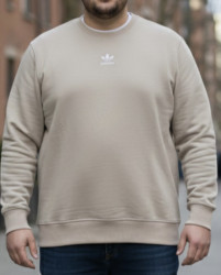 Свитшоты мужские БАТАЛ оптом 23789016 0004-30