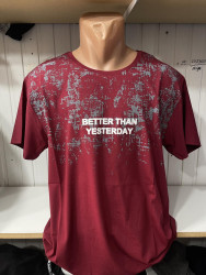 Футболки мужские БАТАЛ оптом 19860254 69-1