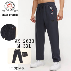 Спортивные штаны мужские оптом 69458213 2633-23