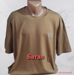 Футболки мужские БАТАЛ оптом 92860715 008-238