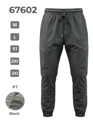 Спортивні штани чоловічі оптом 2BRO