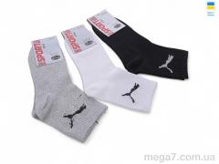 Носки, Textile оптом Textile  T49 mix