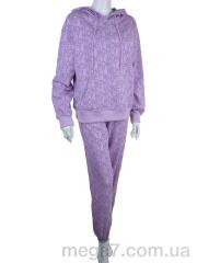 Спортивный костюм, Мир оптом 2880-20233-4 violet