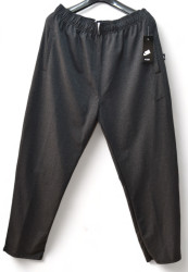 Спортивные штаны мужские (серый) оптом 75036891 229-2