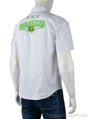 Рубашка, Obuvok оптом DOR-1A (12178) white