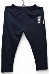 Спортивные штаны мужские БАТАЛ (темно-синий) оптом 75286130 003-8