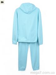 Спортивный костюм, BIG оптом 3750-804-1 l.blue