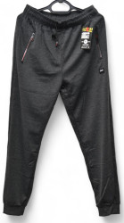 Спортивные штаны мужские BLACK CYCLONE (серый) оптом 89345672 WK7111-14