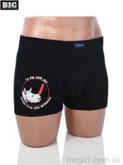 Трусы, BIG оптом 3939-9008 mix