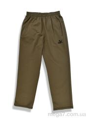 Спортивные брюки, Денис спорт оптом 009-3 green