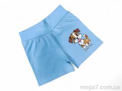 Шорты, Kids-modnik оптом 13142 блакитний