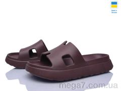 Шлепки, Golden Lion оптом 145 шоколад