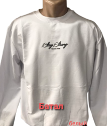 Світшоти чоловічі БАТАЛ оптом