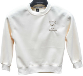 Світшоти підліткові оптом