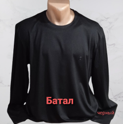 Свитшоты мужские БАТАЛ оптом 10924368 0003-86