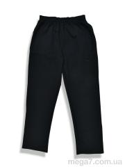 Спортивные брюки, Денис спорт оптом 009-1 black