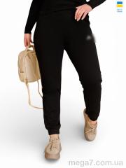 Спортивные брюки, Sport style оптом 10231AD чорний