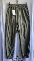 Спортивные штаны мужские ПОЛУБАТАЛ оптом 97542360 1421-70