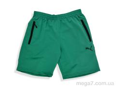 Шорты, Денис спорт оптом 005-1 green