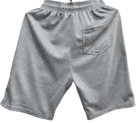 Шорты мужские БАТАЛ оптом 24809316 1176-365