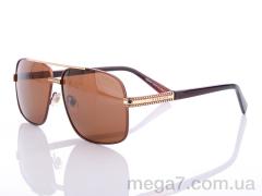 Очки, Egebar оптом P3974 C4