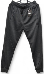 Спортивные штаны мужские BLACK CYCLONE  (серый) оптом 31904562 WK7112-8