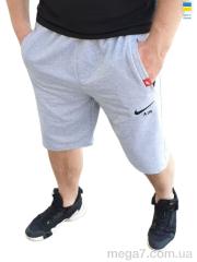Шорты, Sport style оптом 02NK б св.сірий