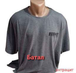 Футболки мужские БАТАЛ оптом 78253149 002-18