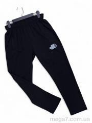Спортивные брюки, Verton оптом N012-6 black